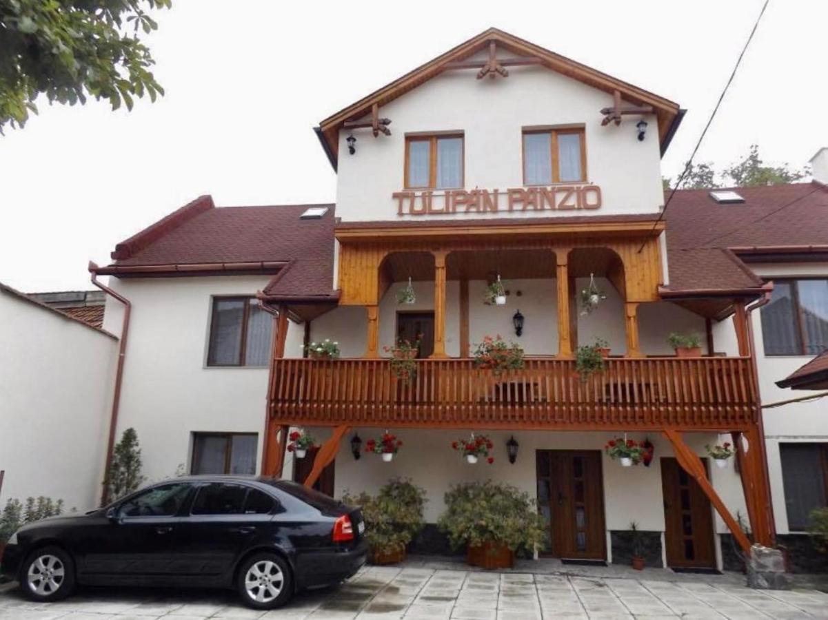 Tulipan Panzio Bed & Breakfast Sfantu Gheorghe  ภายนอก รูปภาพ