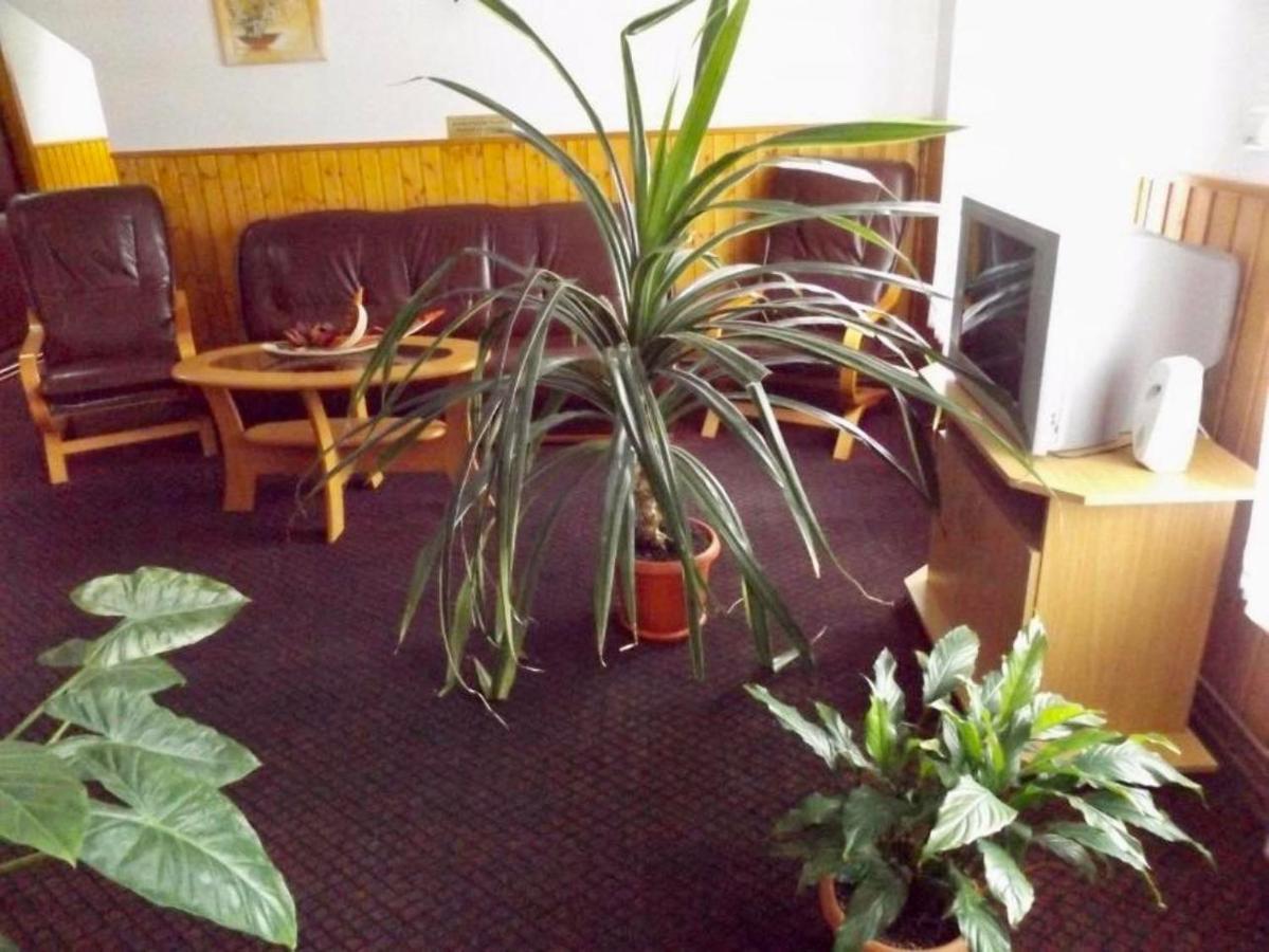 Tulipan Panzio Bed & Breakfast Sfantu Gheorghe  ภายนอก รูปภาพ